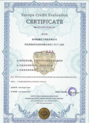 Porcellana Cangzhou Hangxin Flange Co.,Limited Certificazioni